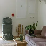 Fly House