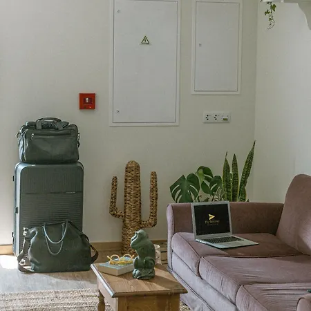 Fly House